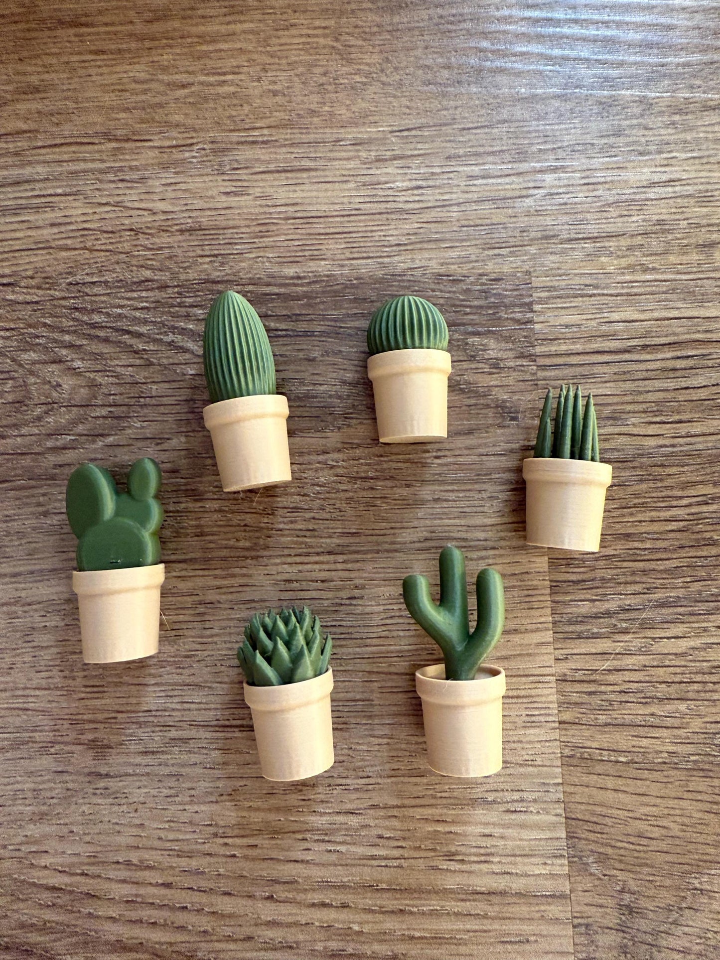 Cactus Themed Fridge Magnets - Set of 6 | Add a Touch of the Desert to Your Space!