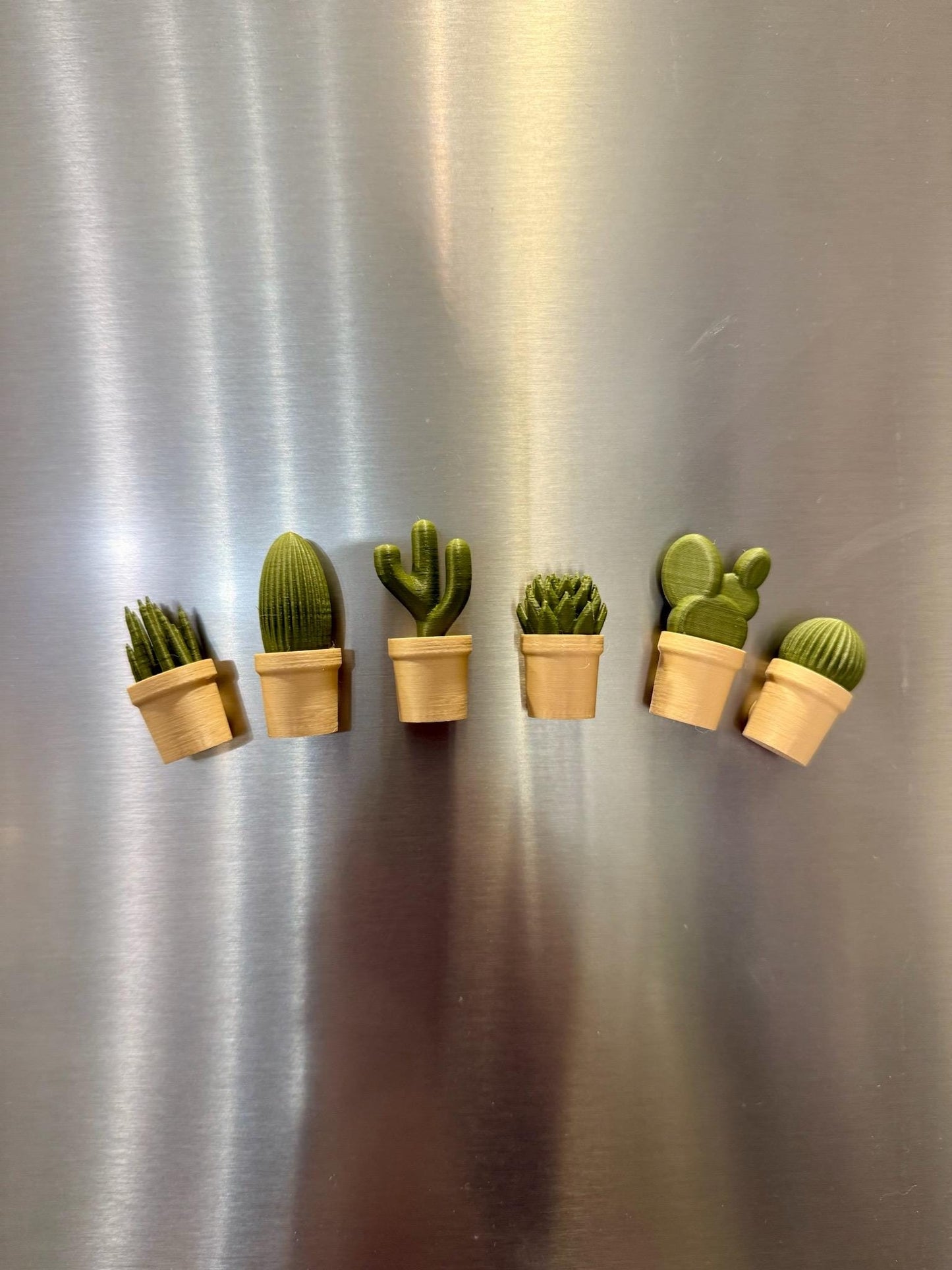 Cactus Themed Fridge Magnets - Set of 6 | Add a Touch of the Desert to Your Space!